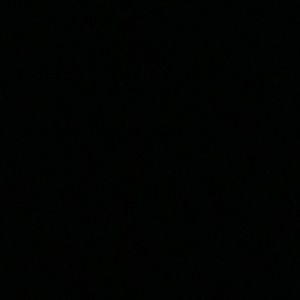 Meet your Posher, Dori